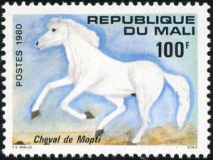 Colnect-2000-320-Horse-from-Mopti-Equus-ferus-caballus.jpg