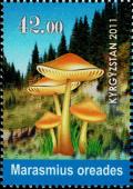 Colnect-3332-513-Mushrooms---Marasmius-oreades.jpg