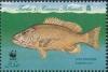Colnect-1764-400-Dog-Snapper-Lutjanus-jocu.jpg
