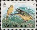 Colnect-1405-602-Yellow-Canary-Serinus-flaviventris.jpg