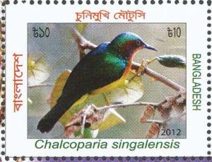 Colnect-1720-026-Ruby-cheeked-Sunbird-Chalcoparia-singalensis-.jpg