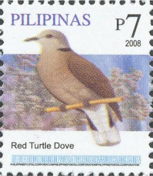 Colnect-2874-999-Red-Turtle-Dove-nbsp-Streptopelia-tranquebarica.jpg