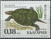 Colnect-1818-299-European-Pond-Turtle-Emys-orbicularis.jpg