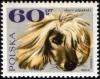 Colnect-2114-269-Afghan-Hound-Canis-lupus-familiaris.jpg