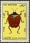 Colnect-2117-222-Ground-Beetle-Carabus-sp.jpg