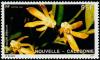 Colnect-854-597-Dendrobium-biflorum.jpg