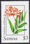 Colnect-3628-312-Dendrobium-mohlianum.jpg