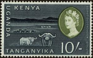 Colnect-4502-808-Ngorongoro-Crater-and-African-Buffalo-Syncerus-caffer.jpg
