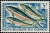 Colnect-950-769-Rainbow-Runner-Elagatis-bipinnulatus.jpg