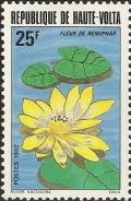 Colnect-1505-157-Nenuphar-Flower.jpg