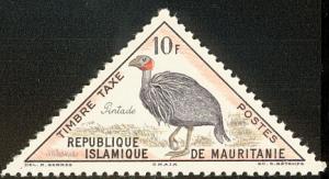 Colnect-1916-846-Vulturine-Guineafowl-Acryllium-vulturinum.jpg