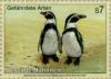 Colnect-138-969-Humboldt-Penguin-Spheniscus-humboldti.jpg