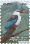 Colnect-1715-782-Grey-headed-Kingfisher-Halcyon-leucocephala.jpg