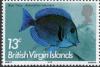 Colnect-3072-134-Blue-Tang-Acanthurus-coeruleus.jpg
