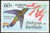 Colnect-3433-477-Antillean-Mango-Anthracothorax-dominicus.jpg
