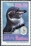 Colnect-4218-494-Galapagos-Penguin%C2%A0Spheniscus-mendiculus.jpg