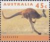 Colnect-6442-220-Red-Kangaroo-Macropus-rufus.jpg