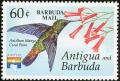 Colnect-3433-477-Antillean-Mango-Anthracothorax-dominicus.jpg