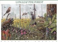 Colnect-2783-135-Longleaf-Pine-Forest.jpg