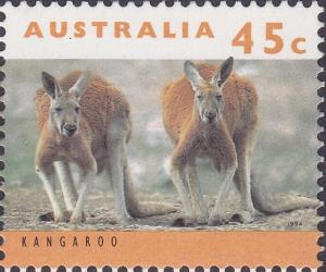 Colnect-6442-222-Red-Kangaroo-Macropus-rufus.jpg