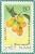 Colnect-1627-896-Plum-Mango-Bouea-oppositifolia.jpg