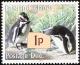 Colnect-1674-637-Magellanic-Penguin-Spheniscus-magellanicus.jpg