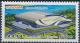 Colnect-3266-457-Rungra-Dolphinarium.jpg