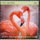 Colnect-5033-988-Greater-Flamingo-----Phoenicopterus-roseus.jpg