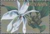 Colnect-1701-252-Stanhopea-grandiflora.jpg