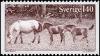 Colnect-4336-507-Gotland-Ponies-Equus-ferus-caballus.jpg