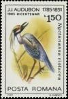 Colnect-5816-596-Yellow-crowned-Night-Heron-Nyctanassa-violacea.jpg