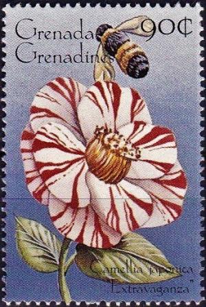 Colnect-3957-134--quot-Camellia-japonica-quot---quot-Extravaganza-quot-.jpg