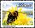 Colnect-5452-001-Tawny-Mining-Bee-Andrena-fulva-.jpg