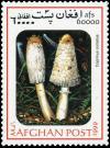 Colnect-3511-137-Shaggy-ink-cap-Coprinus-comatus.jpg