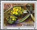 Colnect-875-491-Plant-Draba-Bertiscea.jpg