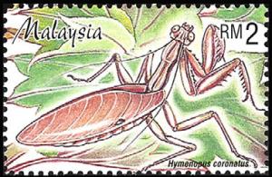 Colnect-1052-720-Orchid-Mantis-Hymenopus-coronatus.jpg