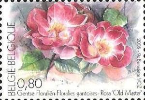 Colnect-567-761-Floralia-of-Ghent-Rosa--quot-Old-Master-quot-.jpg