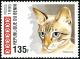 Colnect-2571-929-Tabby-Point-Felis-silvestris-catus.jpg