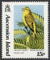 Colnect-853-293-Yellow-Canary-Serinus-flaviventris---Courting-Male.jpg