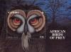 Colnect-1462-524-Tawny-Owl-Strix-aluco.jpg