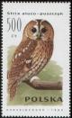 Colnect-1999-889-Tawny-Owl-Strix-aluco.jpg