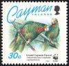 Colnect-1458-122-Cayman-Island-Amazon-Amazona-leucocephala-caymanensis.jpg