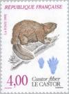 Colnect-146-054-Eurasian-Beaver-Castor-fiber.jpg