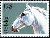 Colnect-1988-447-Lippizan-Equus-ferus-caballus.jpg