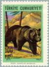 Colnect-2578-645-Brown-Bear-Ursus-arctos.jpg