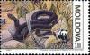 Colnect-506-951-Aesculapian-Snake-Elaphe-longissima.jpg
