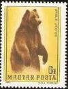 Colnect-584-887-Brown-Bear-Ursus-arctos.jpg