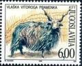 Colnect-1889-398-Wallachian-Sheep-Ovis-strepsiceros.jpg