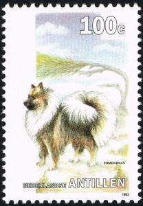 Colnect-2206-058-Pomeranian-Canis-lupus-familiaris.jpg