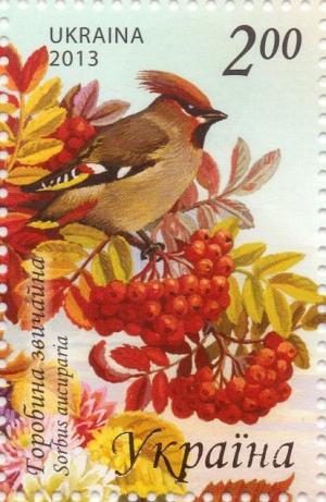 Colnect-2858-361-Mountain-ash-Sorbus-aucuparia.jpg